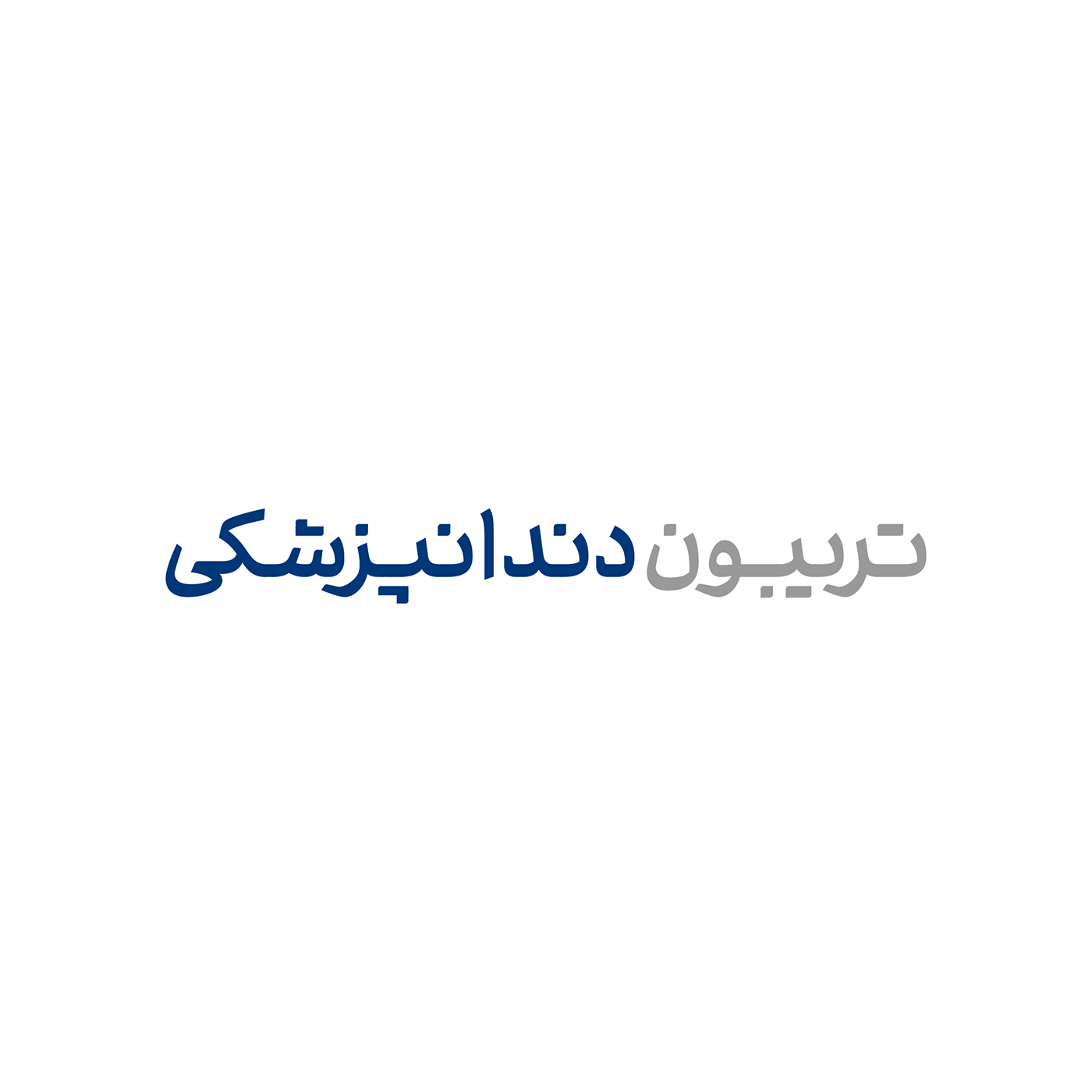 Logotype logo type typography   design persian Calligraphy   arabic lettering bilingual