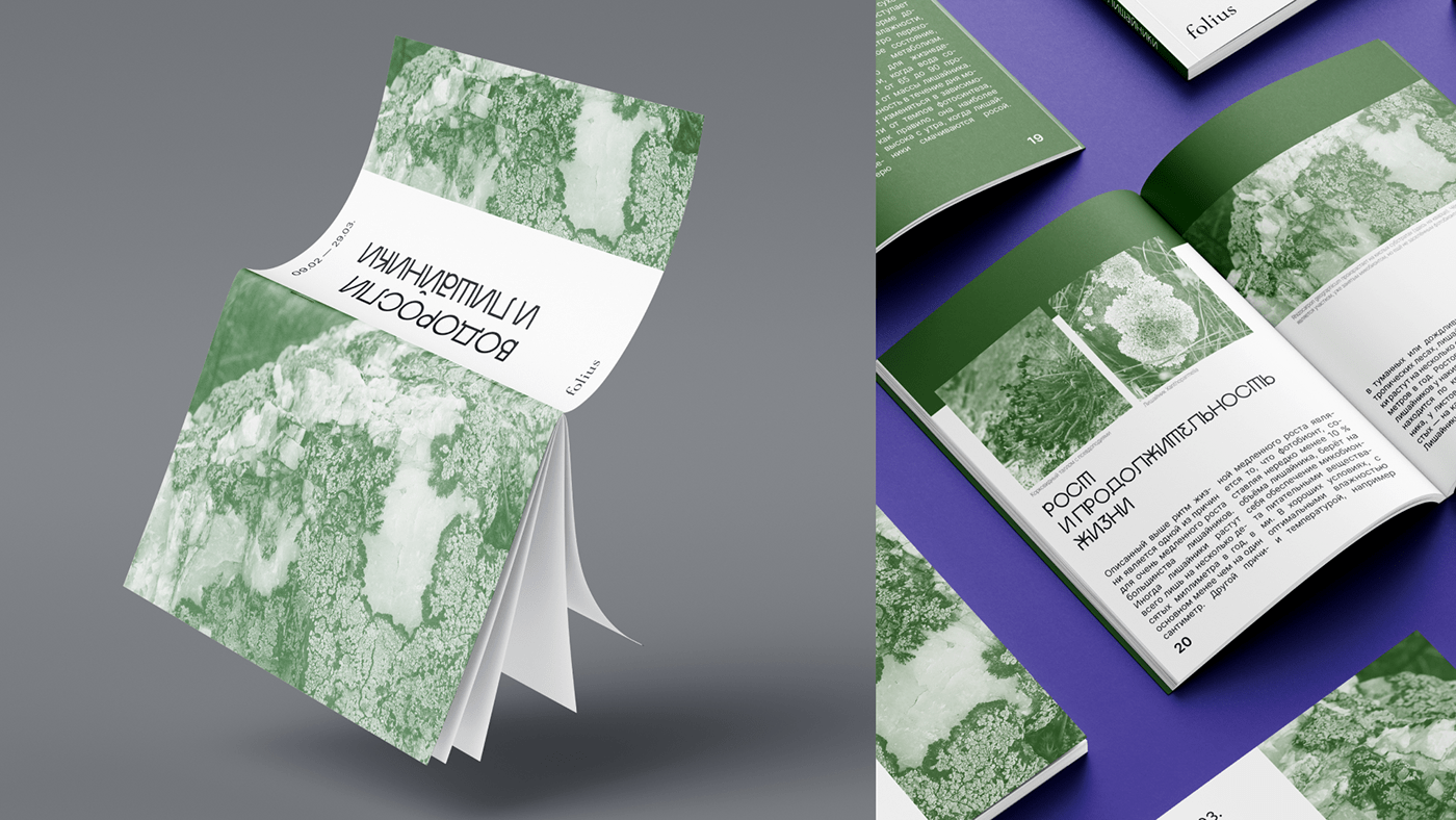 design brochure print Layout дизайн верстка botanical book design