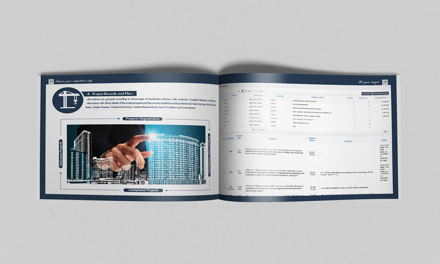 graphic design brochure bayonet solutions Project projects management development oracle Microsoft Landscape