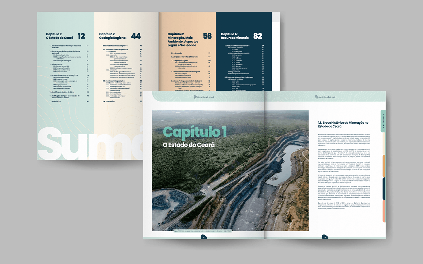 design graphic design  branding  Layout editoração diagramação maps infographic publication editorial