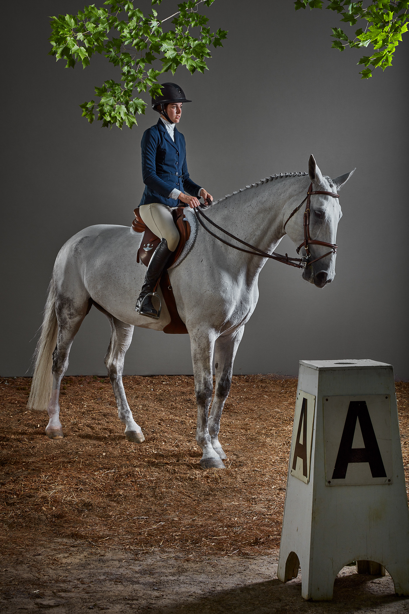 cheval equestrian equitation Fashion  horse Horse racing jockey portrait Portraiture Style
