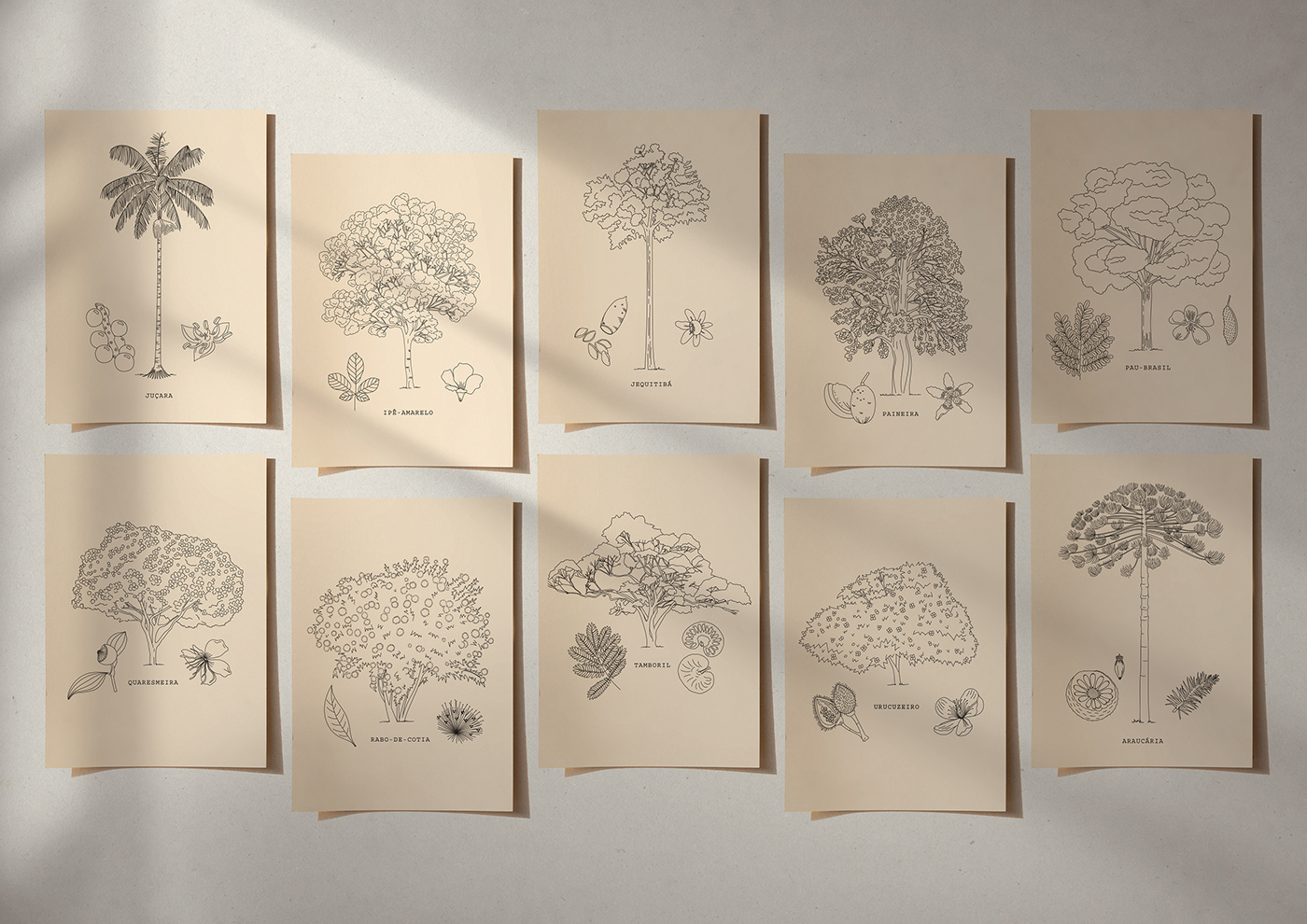 Brazil trees Embroidery botanical Drawing  artist Nature Árvores Nativas ipeamarelo Pencilcolor