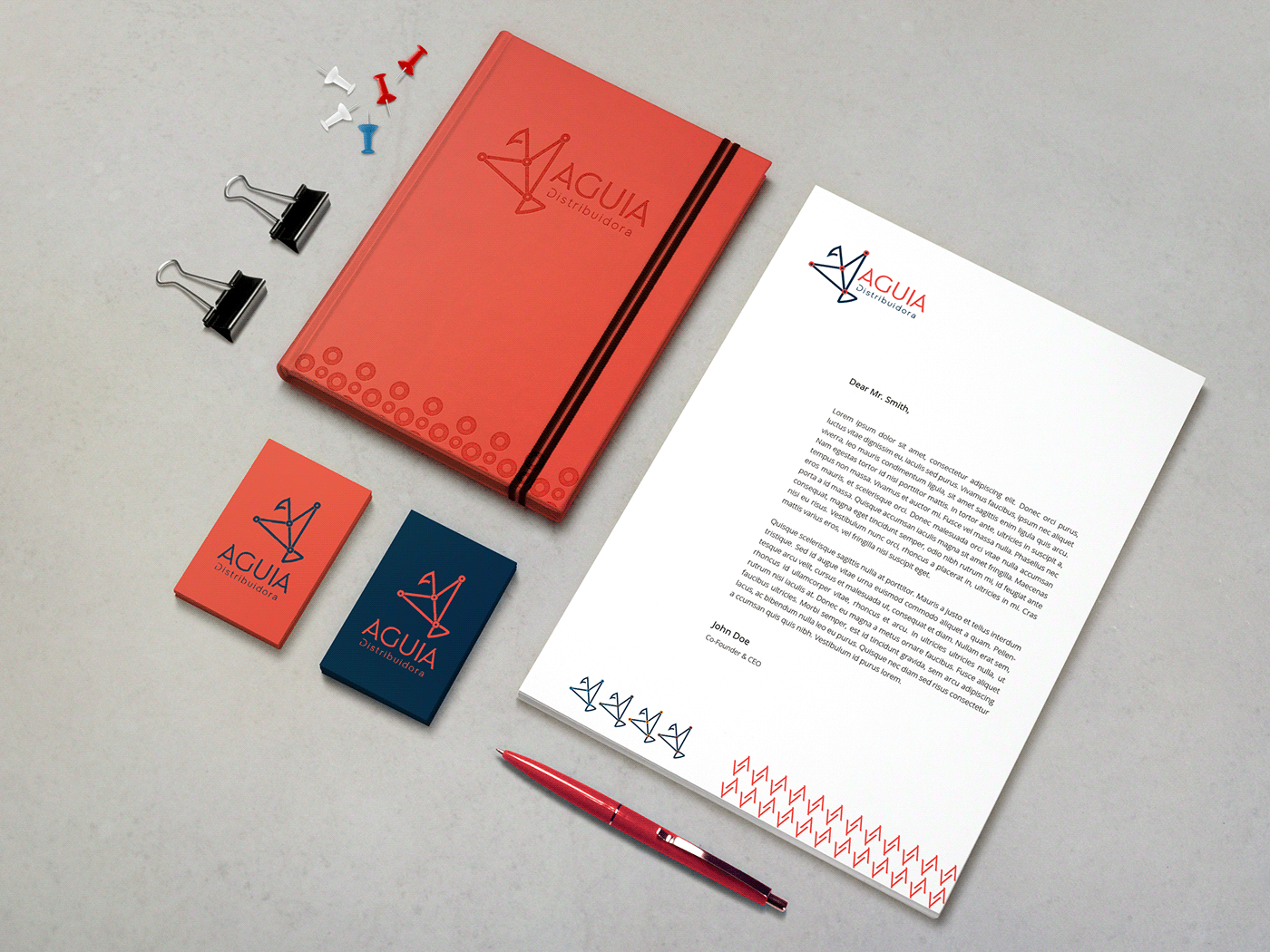 brand branddesign branding company design eagle identidadevisual identity logo rebranding