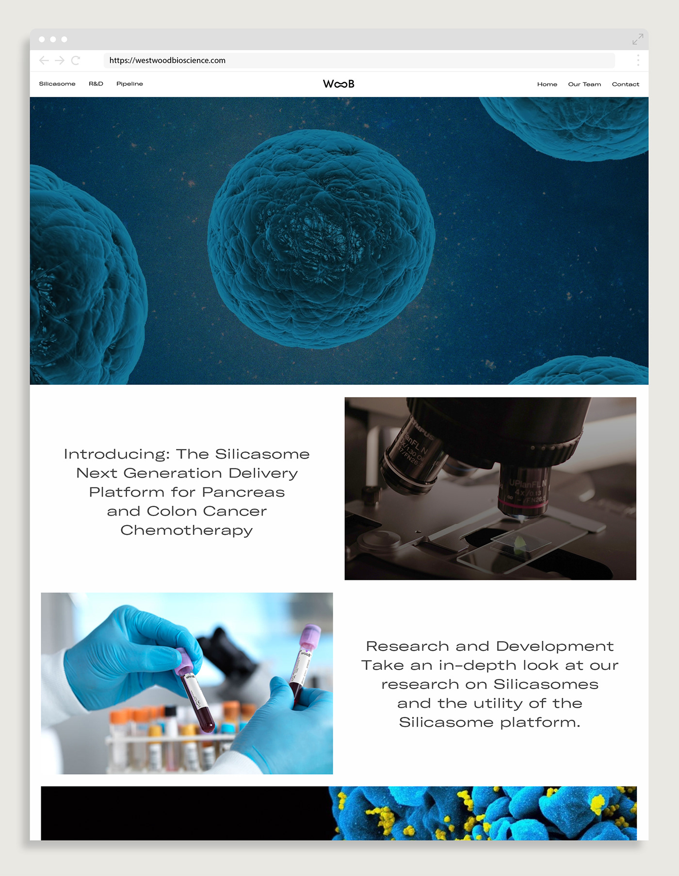 westwood Bioscience science biology Icon brochure lab Scientist Technology identity