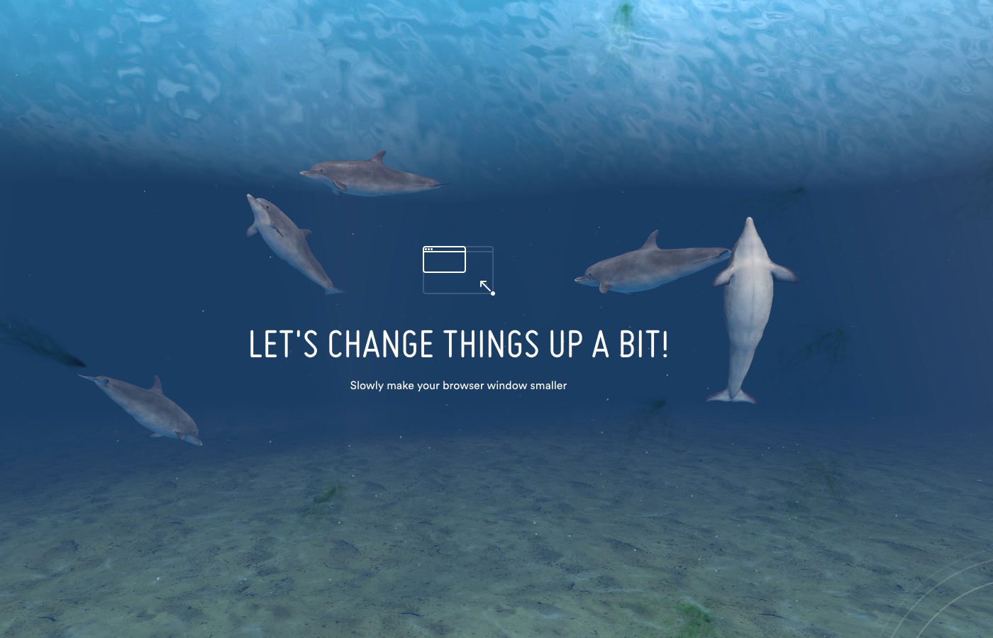 Dolphins digital sea shepherd resize browser home Captivity web gl Responsive