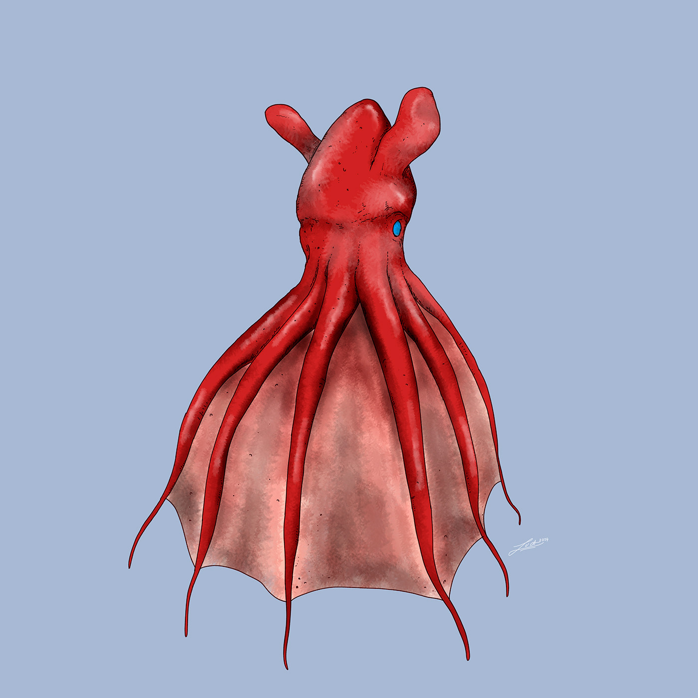 Ocean animal Nature biology scientific illustration Digital Art  Drawing  digital illustration naturaleza mollusk