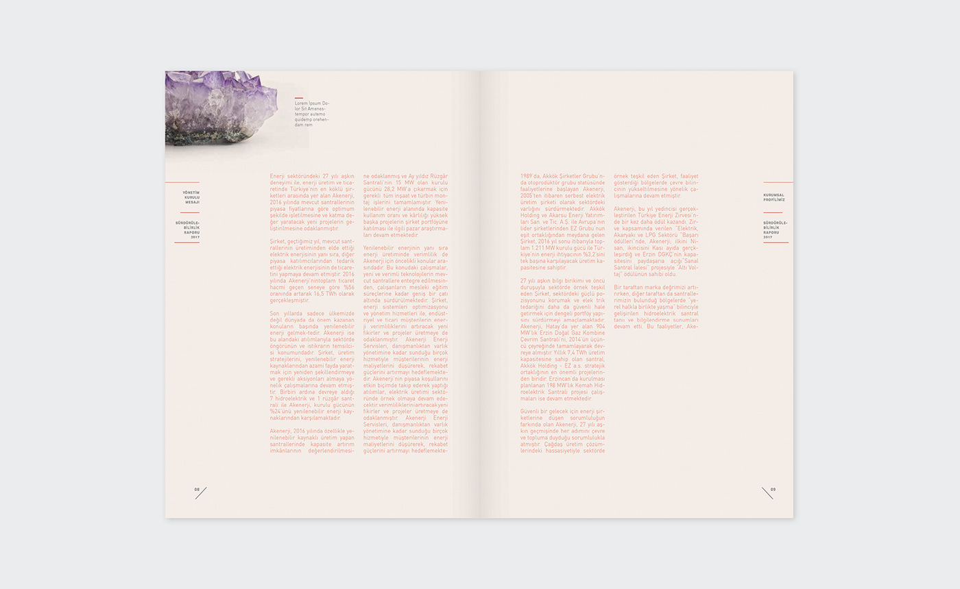 annual report Faaliyet Raporu book editorial design  editorial page design Layout Design