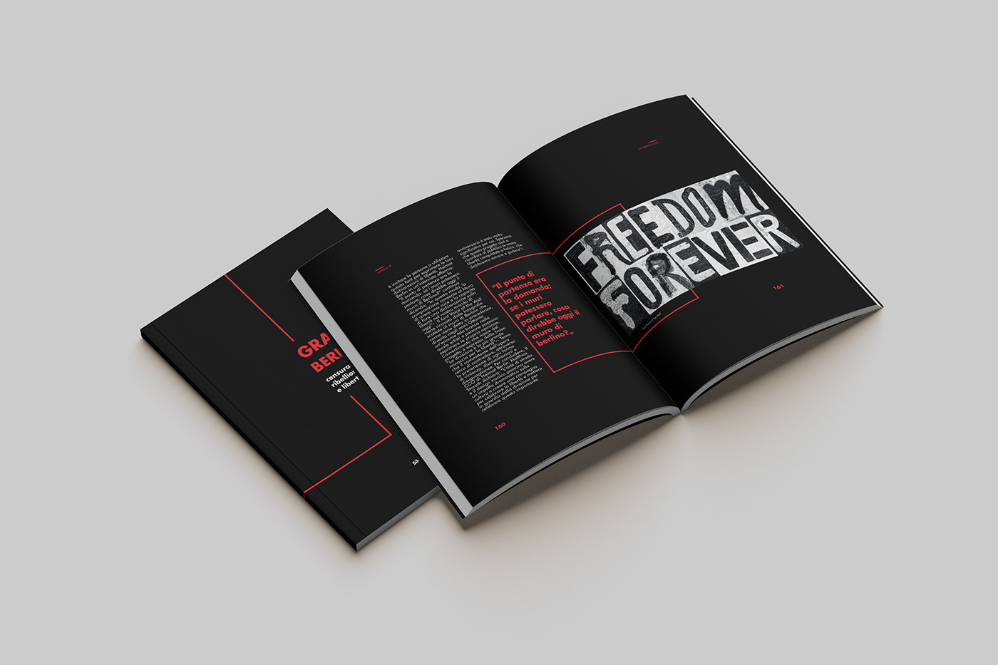 book book cover book design graphic graphicdesign laurea Project tesi typography  