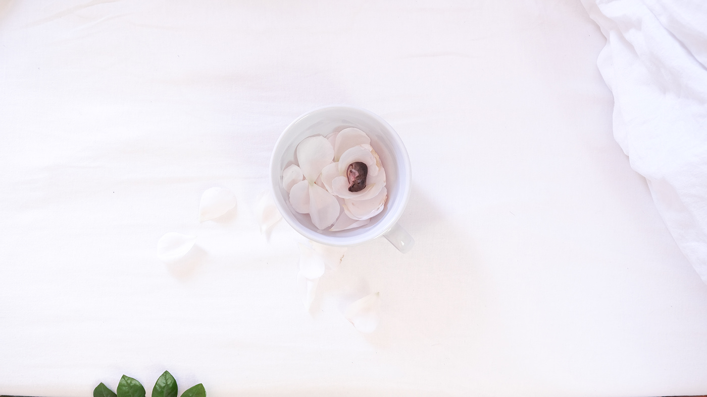cafe mug mouse newborn Photography  rose petals