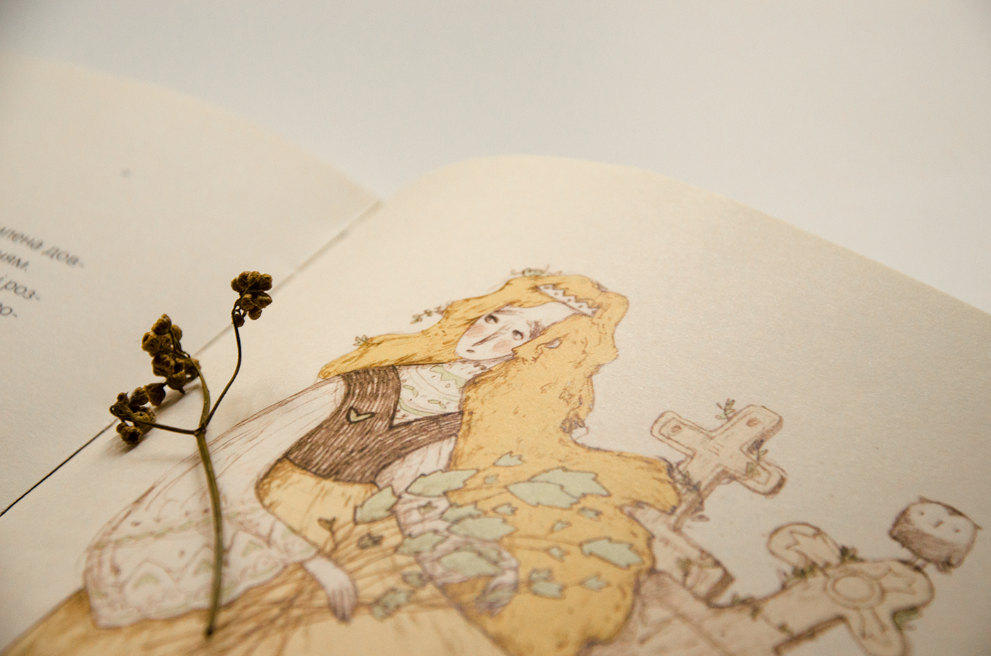 ILLUSTRATION  book design kids illustration children`s illustration fairytale Wild Swans andersen ukraine art