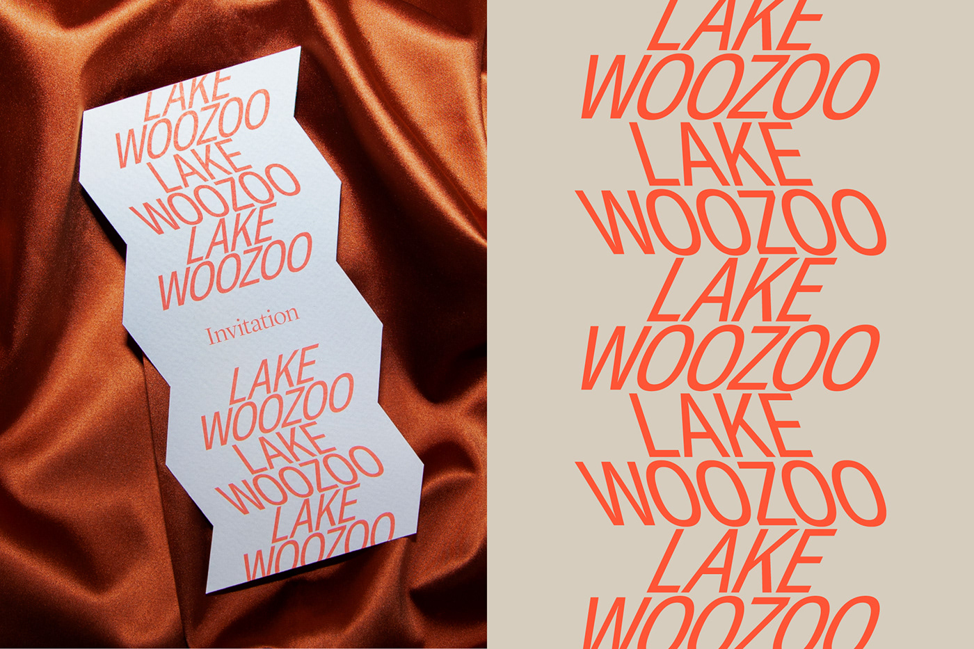 brand Brand Design brand identity identity Lake Woozoo Logo Design Logotype music typography   visual identity