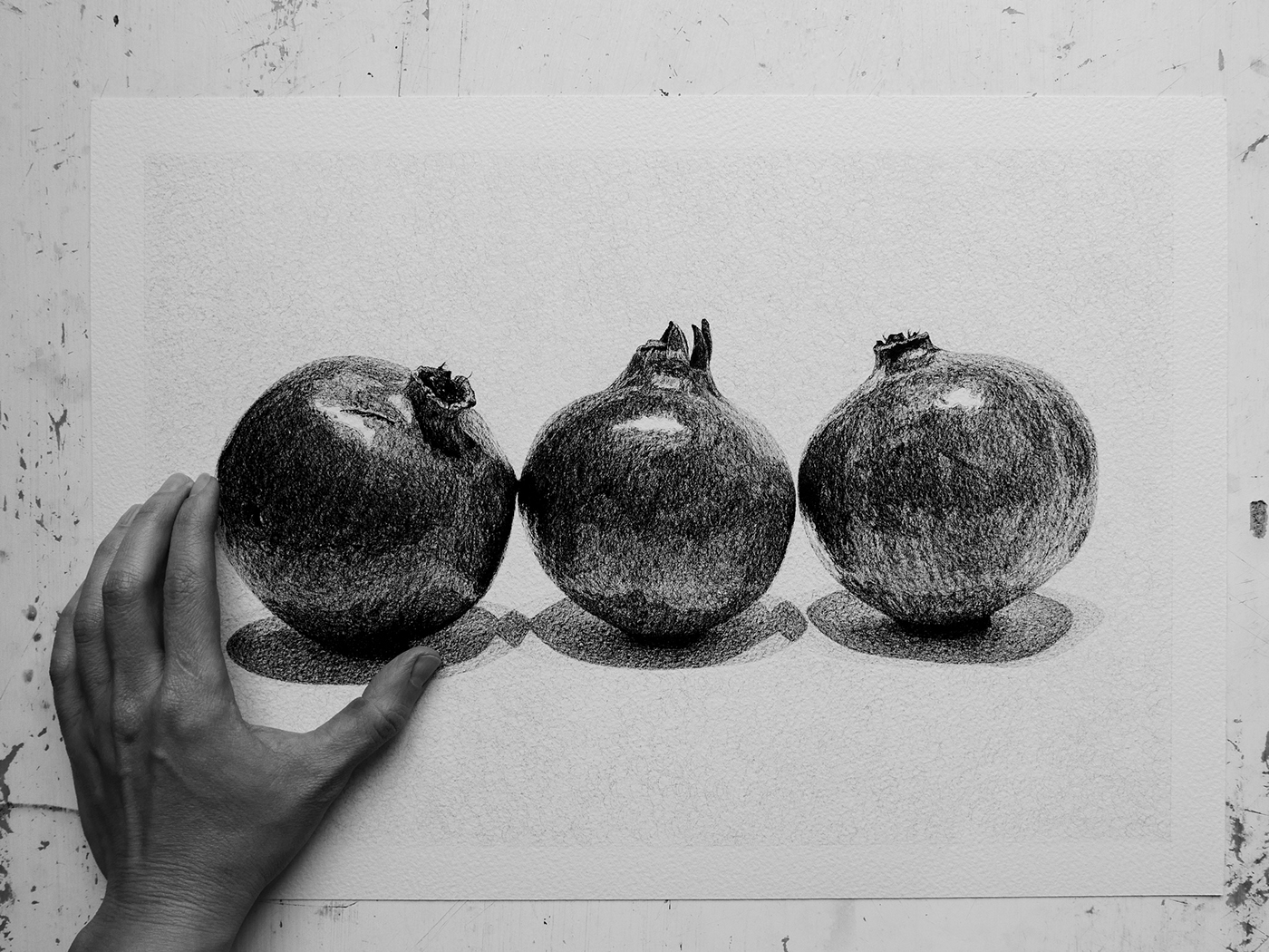 still life black and white daily life Drawing 