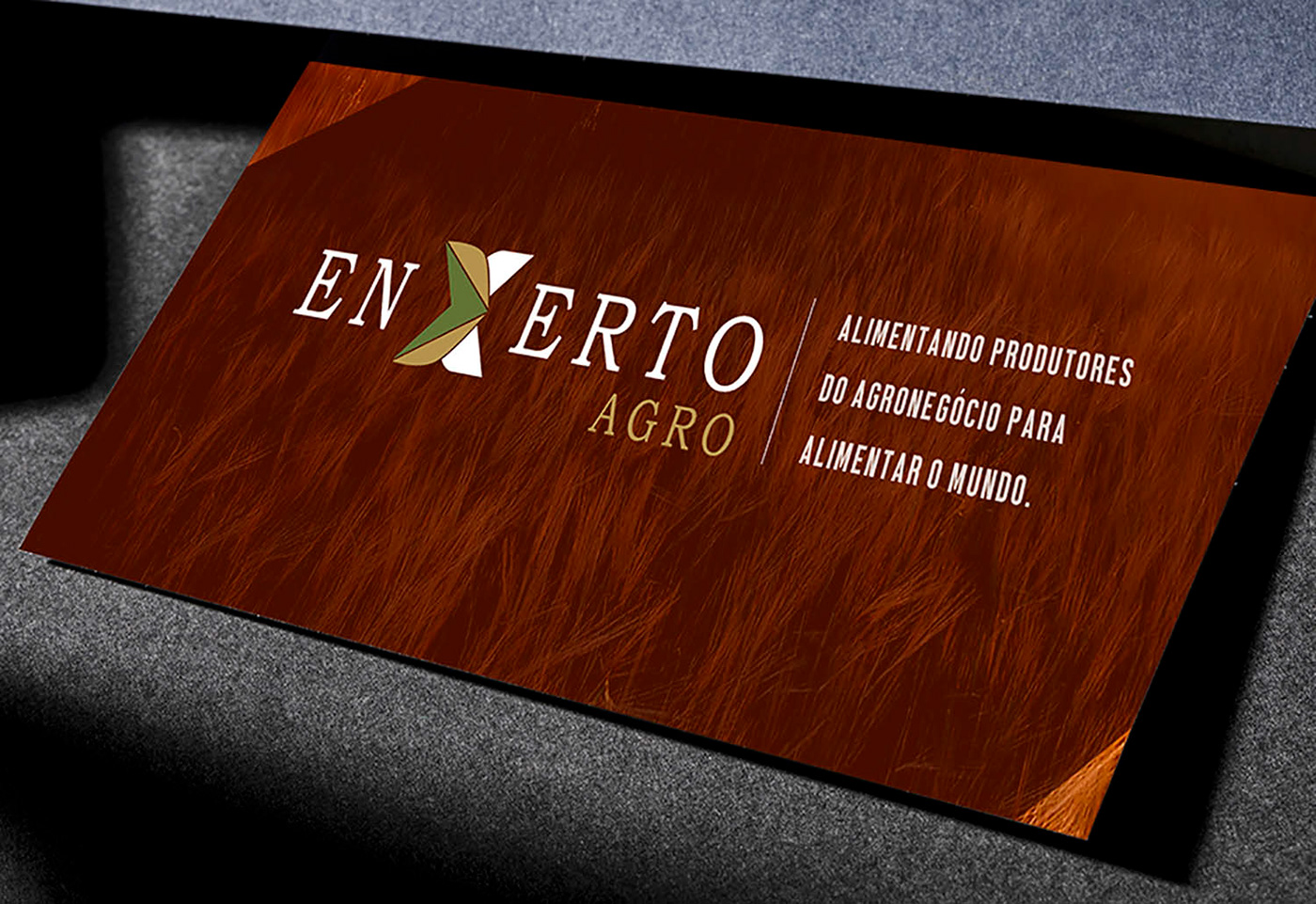 Agribusiness agricultura Agro Agronegócios branding  campo design designdemarcas logodesign Plant