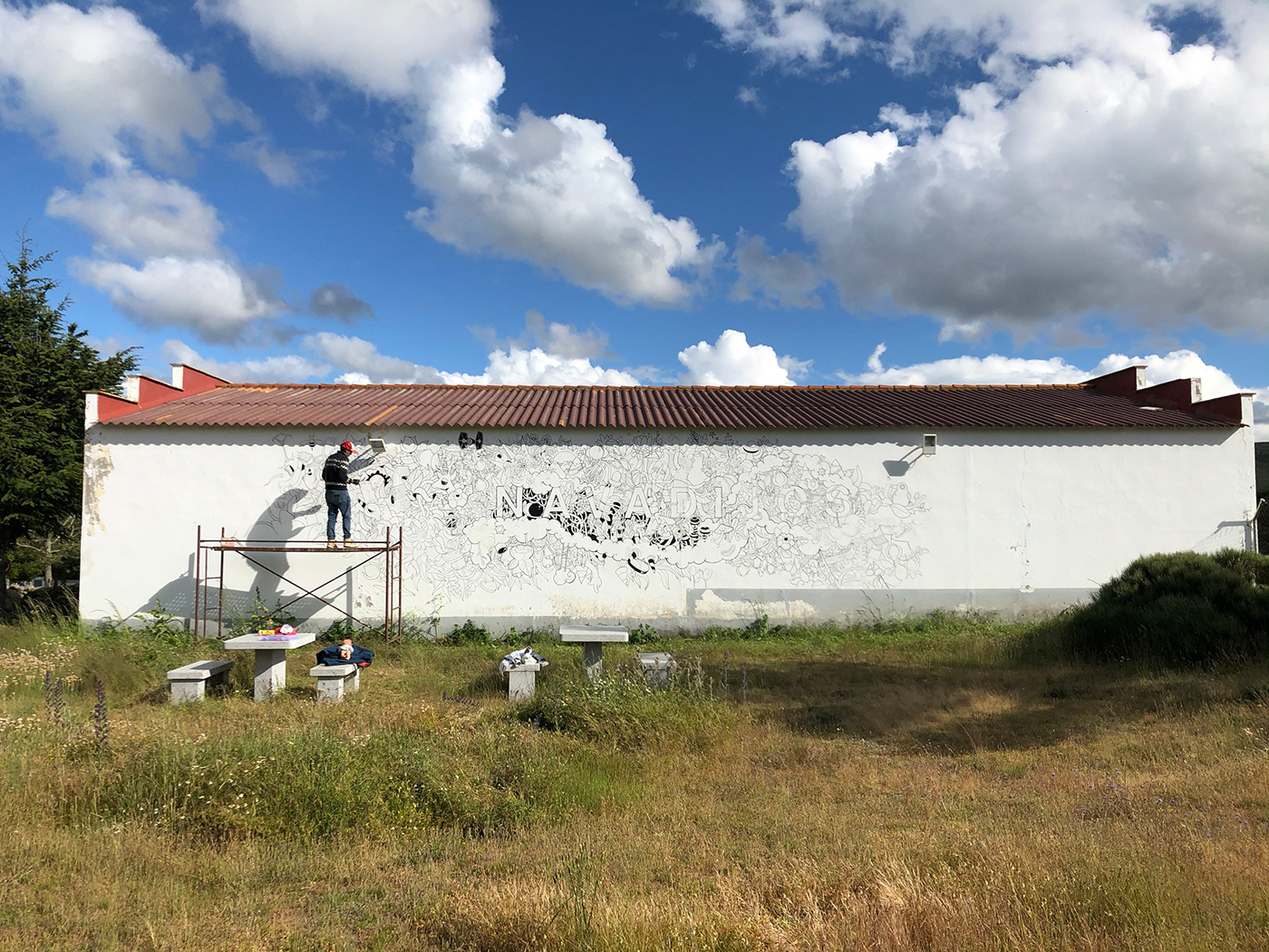 acrylic mountain Mural painting   streetart Urban village wall