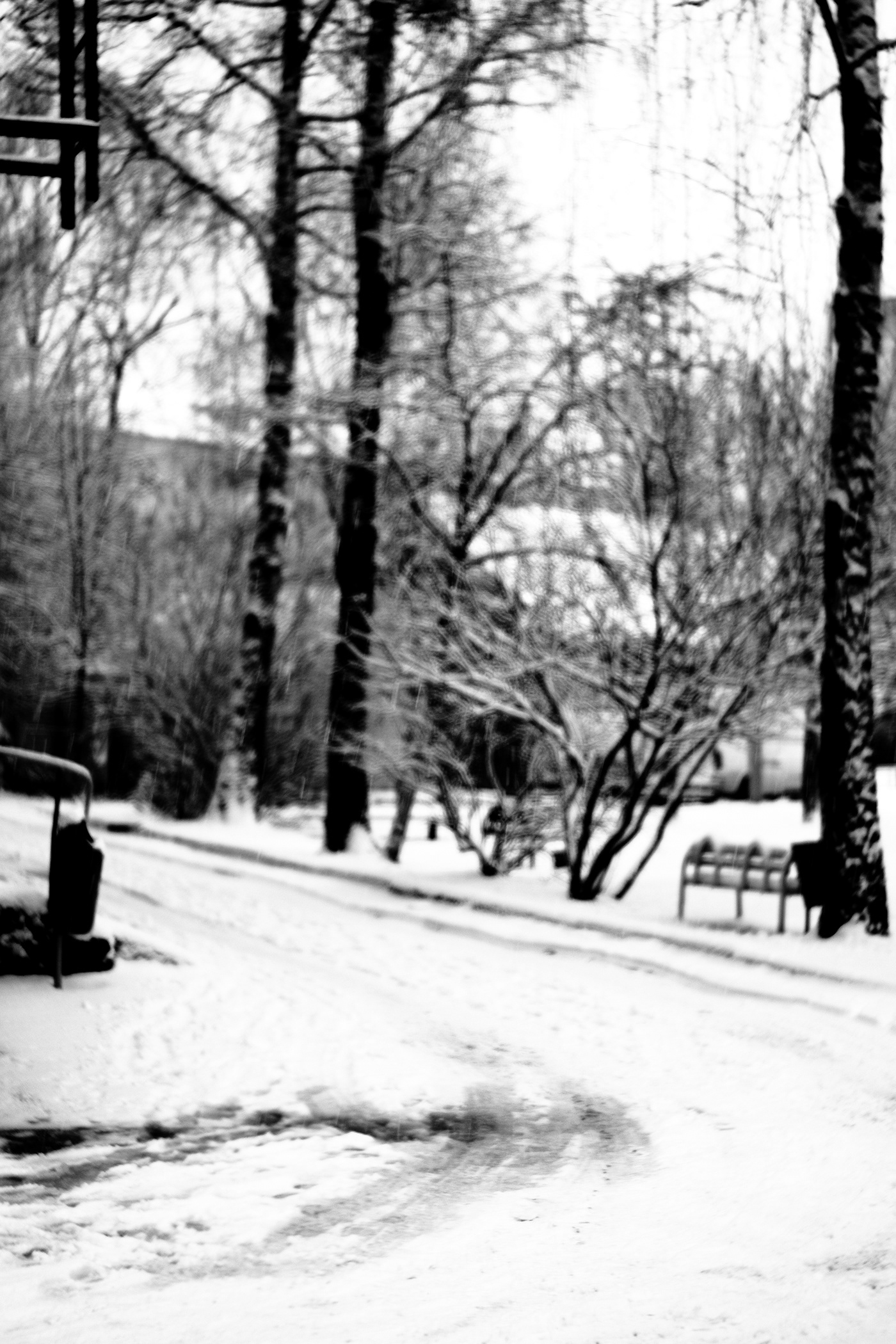 snow Photography  photographer black and white street photography people city Urban Street