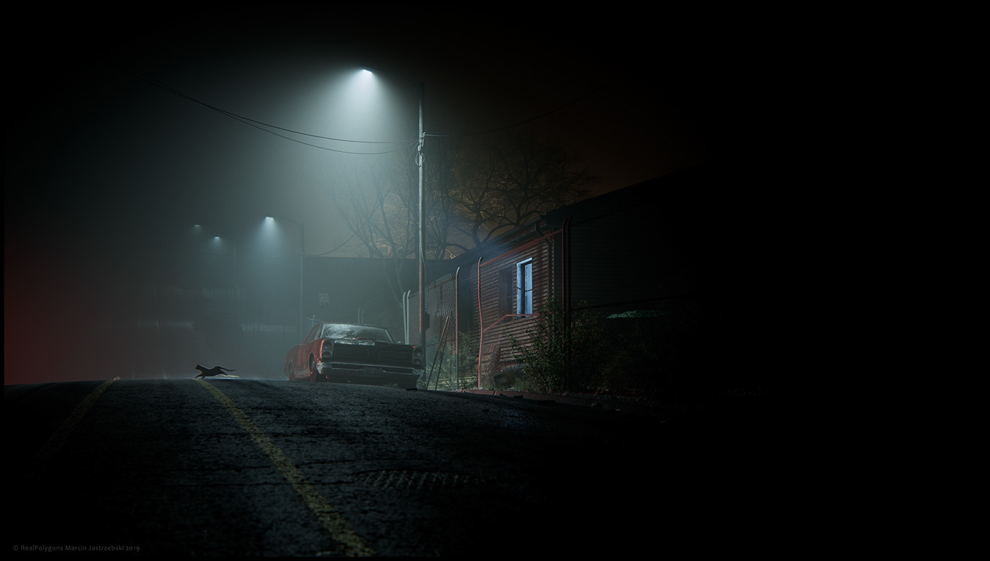 rendering night corona Street light Cat car fog city