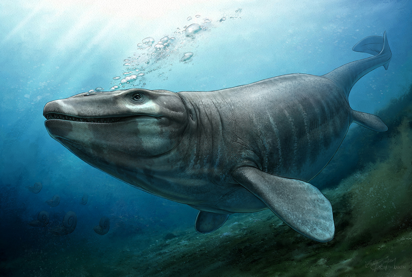 Digital Art  Dinosaur dragon marine marine reptile mosasaur prognathodon tylosaur underwater watercolor