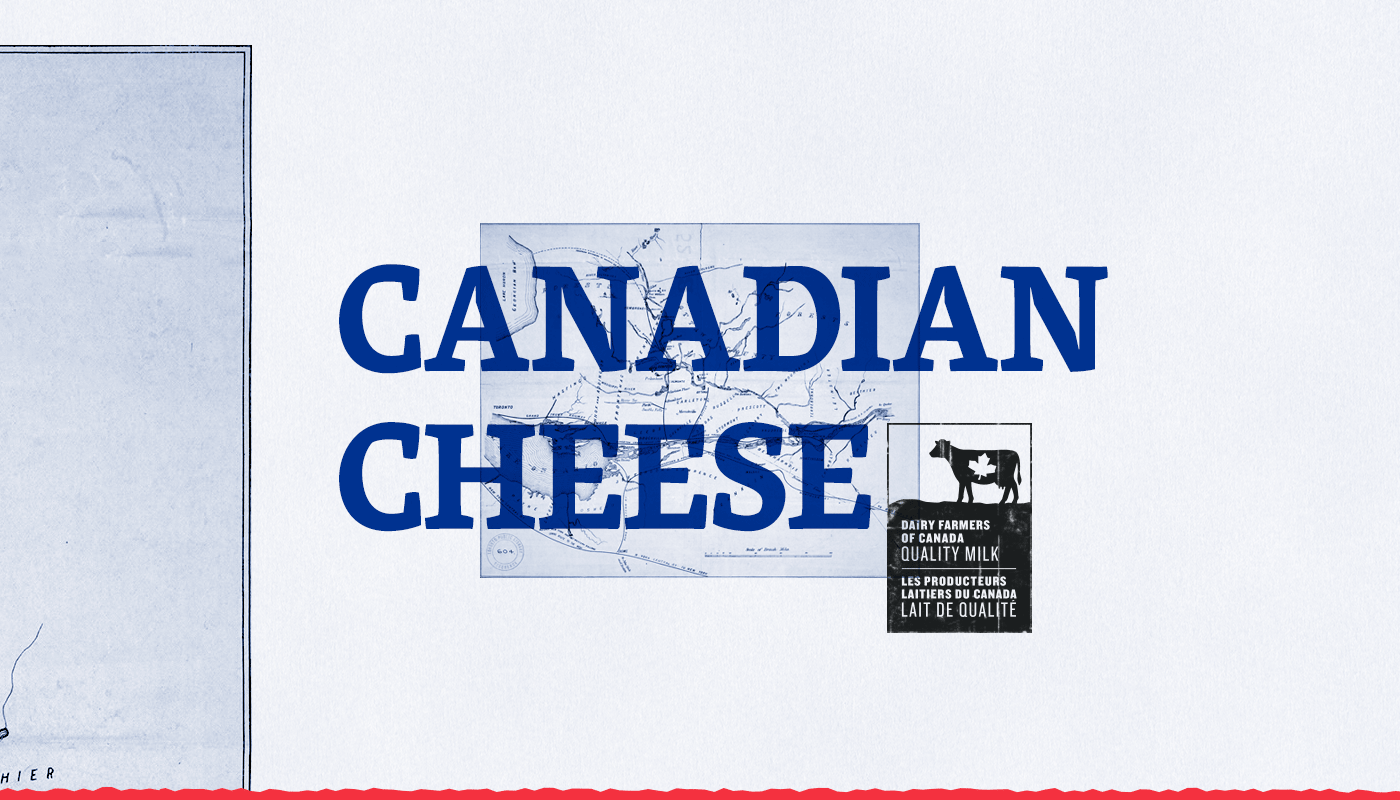branding  Packaging Food  milk Cheese Canada foil red blue Terroir