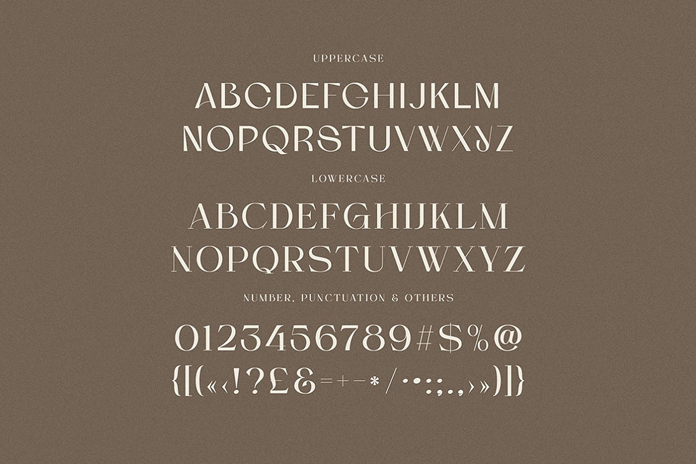 luxury font Serif Font sans serif modern font display typeface Fashion font branding font Unique Font  stylish font retro font