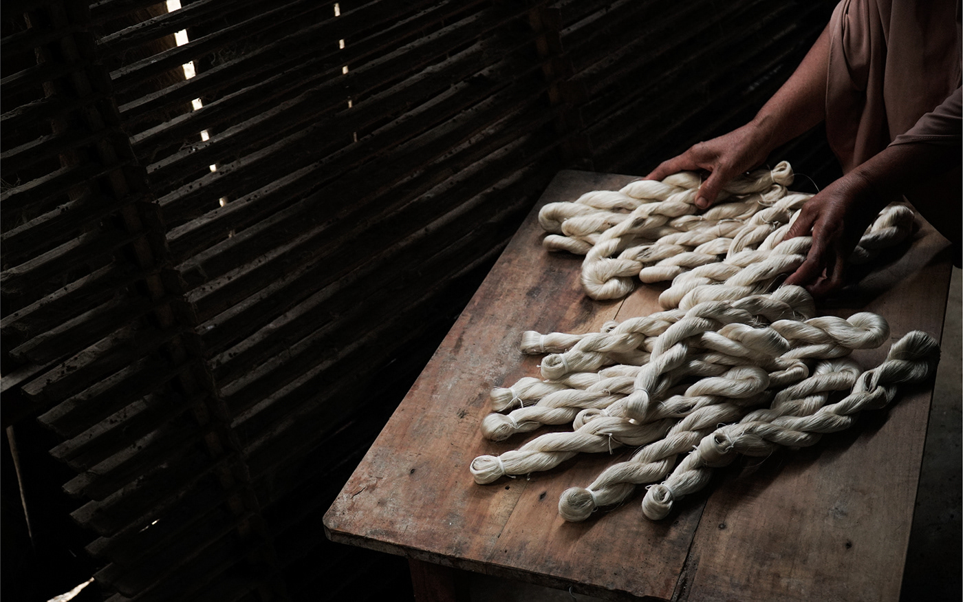 culture Nature SILK textile silkworm