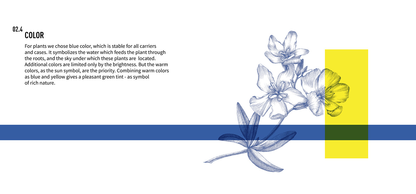 identity ILLUSTRATION  Flowers Nature logo animation  Packaging brand Dynamic design