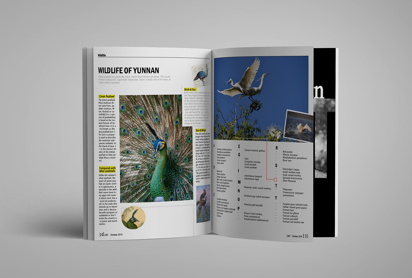 Travel magazine Layout Yunnan