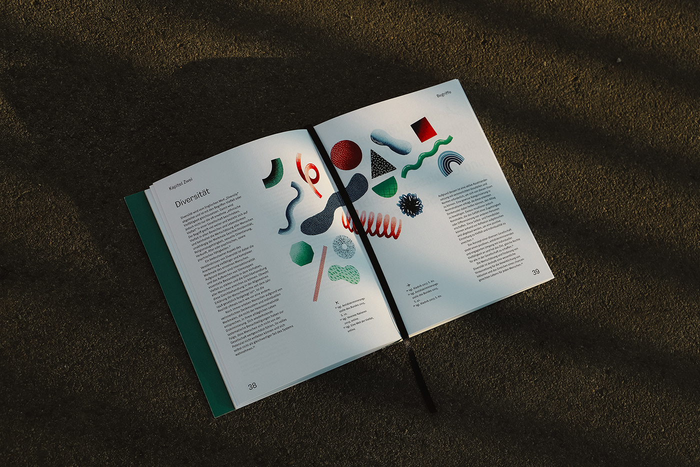 book book design Diversity editorial editorial design  graphic design  ILLUSTRATION  inclusion Inclusive thesis