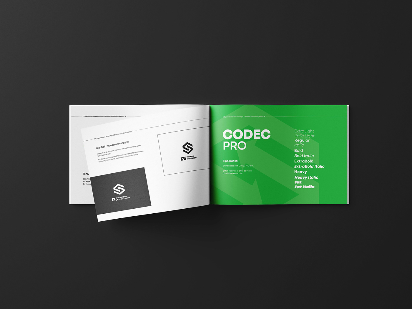 brand book brand guidelines brand identity Logo Design brand breanding buisness card identity Mockup visual identity