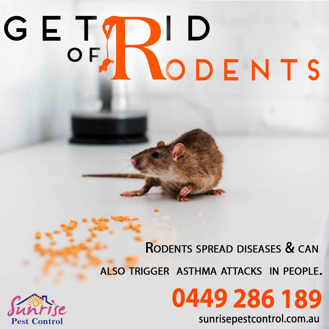 rodent control rodent Pest Control