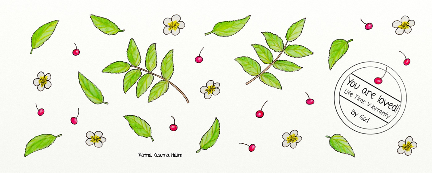 art print cute Drawing  Flowers fruits leaves Nature painting   watercolour watercolour art