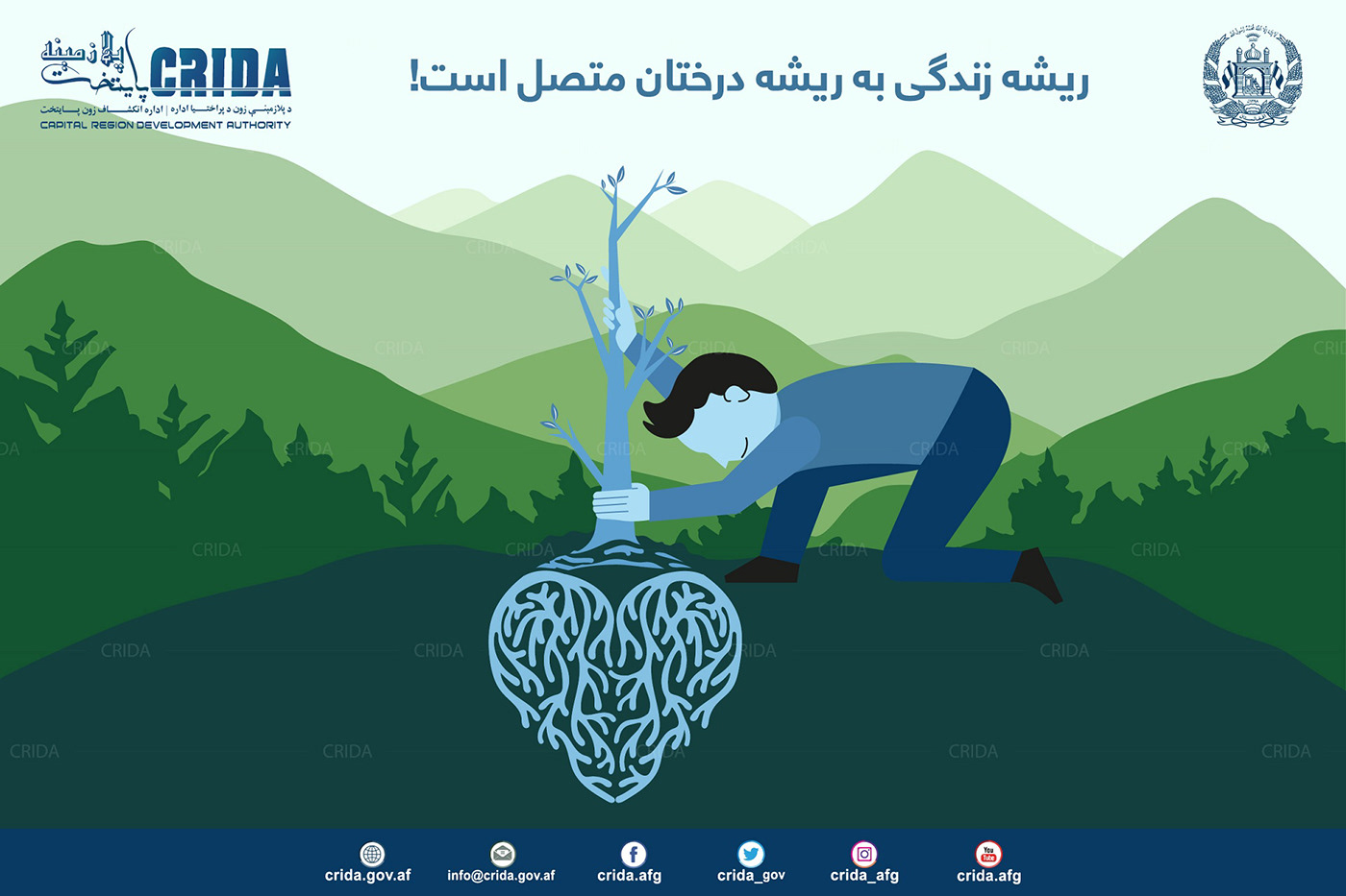 planting Plant agriculture Tree  green Afghanistan kabul clean ILLUSTRATION  Illustrator