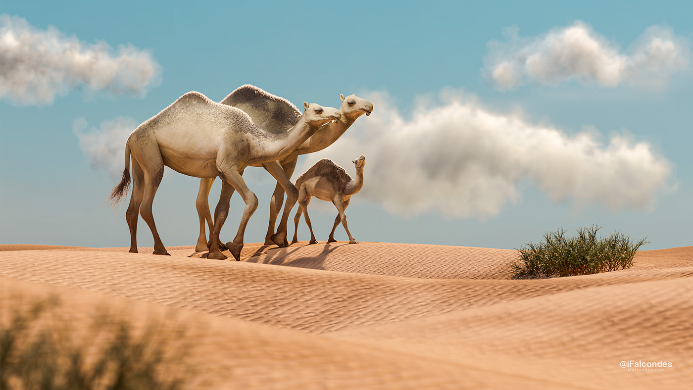 c4d camel desert iFalcondes Landscape octane redshift sand search journey فالكون