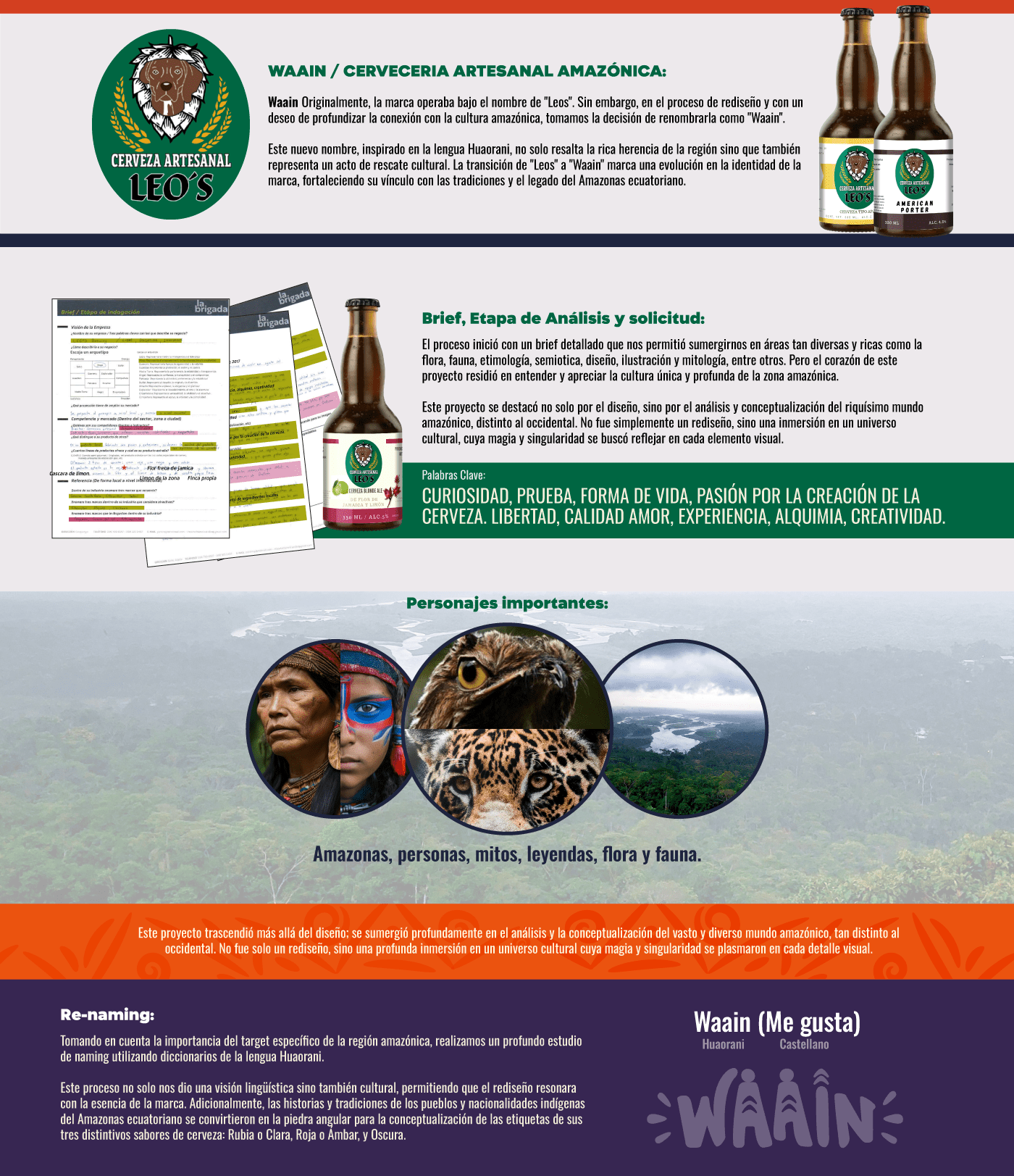 cerveza artesanal Ecuador amazonia Amazonas labels rebranding branding  visual identity 3d modeling
