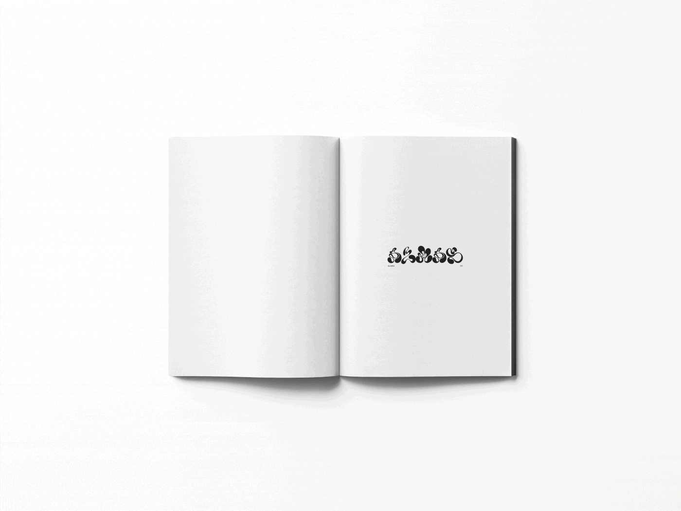 Advertising  design editorial InDesign magazine Magazine design Photography  typography  