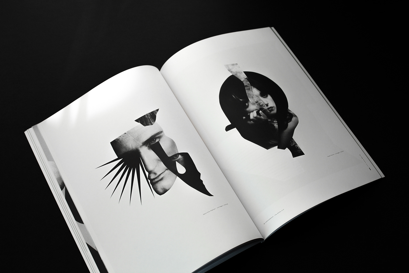 art edition graphic design  graphisme magazine print publication publising revue revue artistique