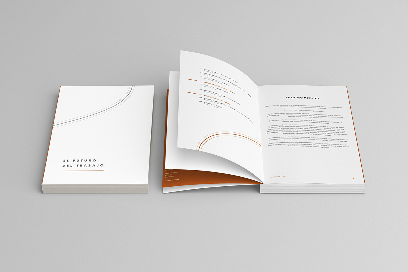 book book design editorial editorial design  print