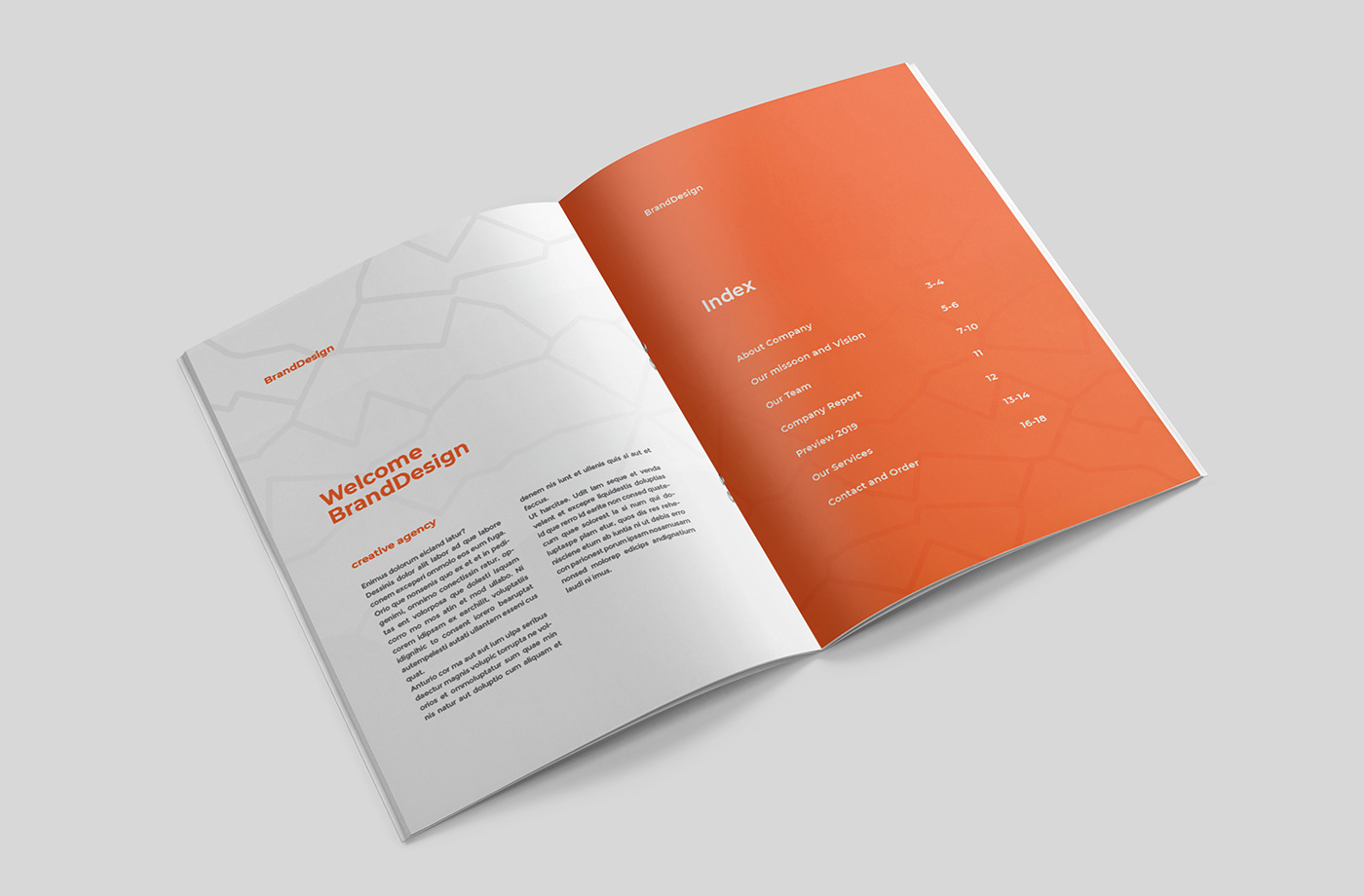 brochure company profile design