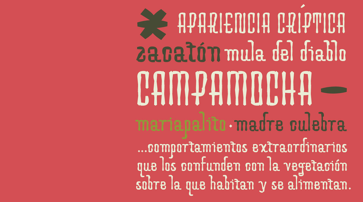 Ecuador experimental modular mopisio studio type typography  