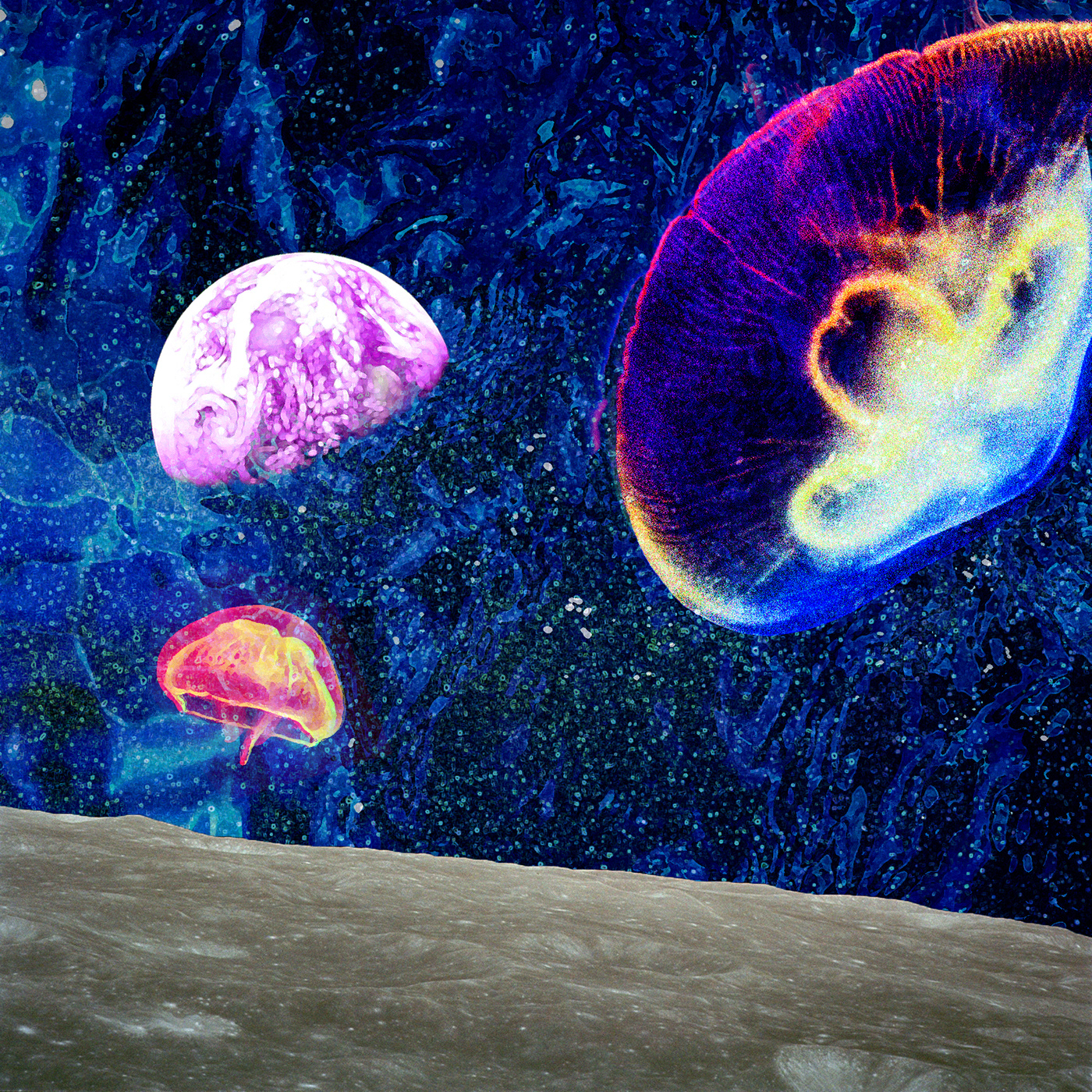 Jellyfish in the universe