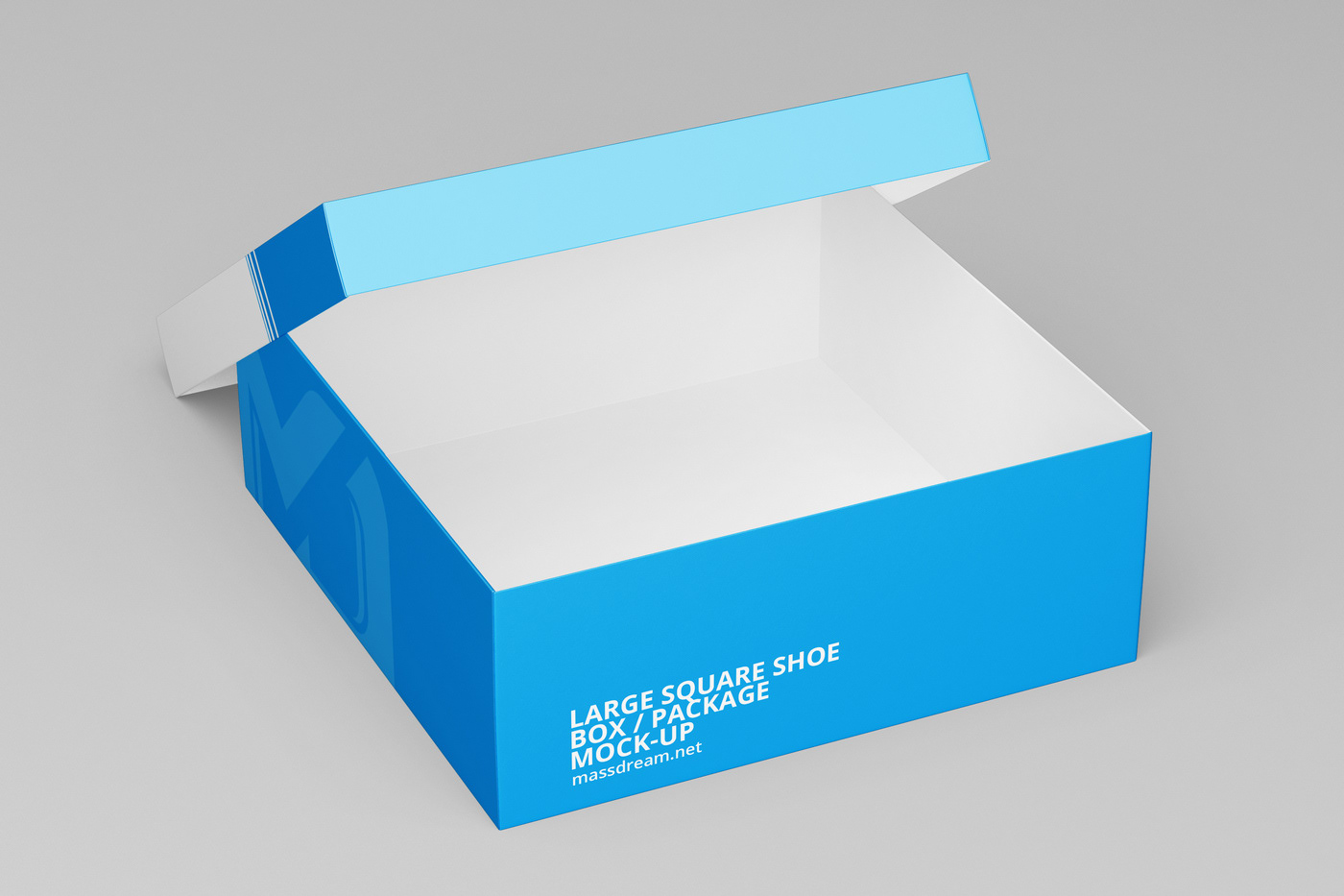 box cardboard container mock Mockup mock-up Pack package Packaging shoe