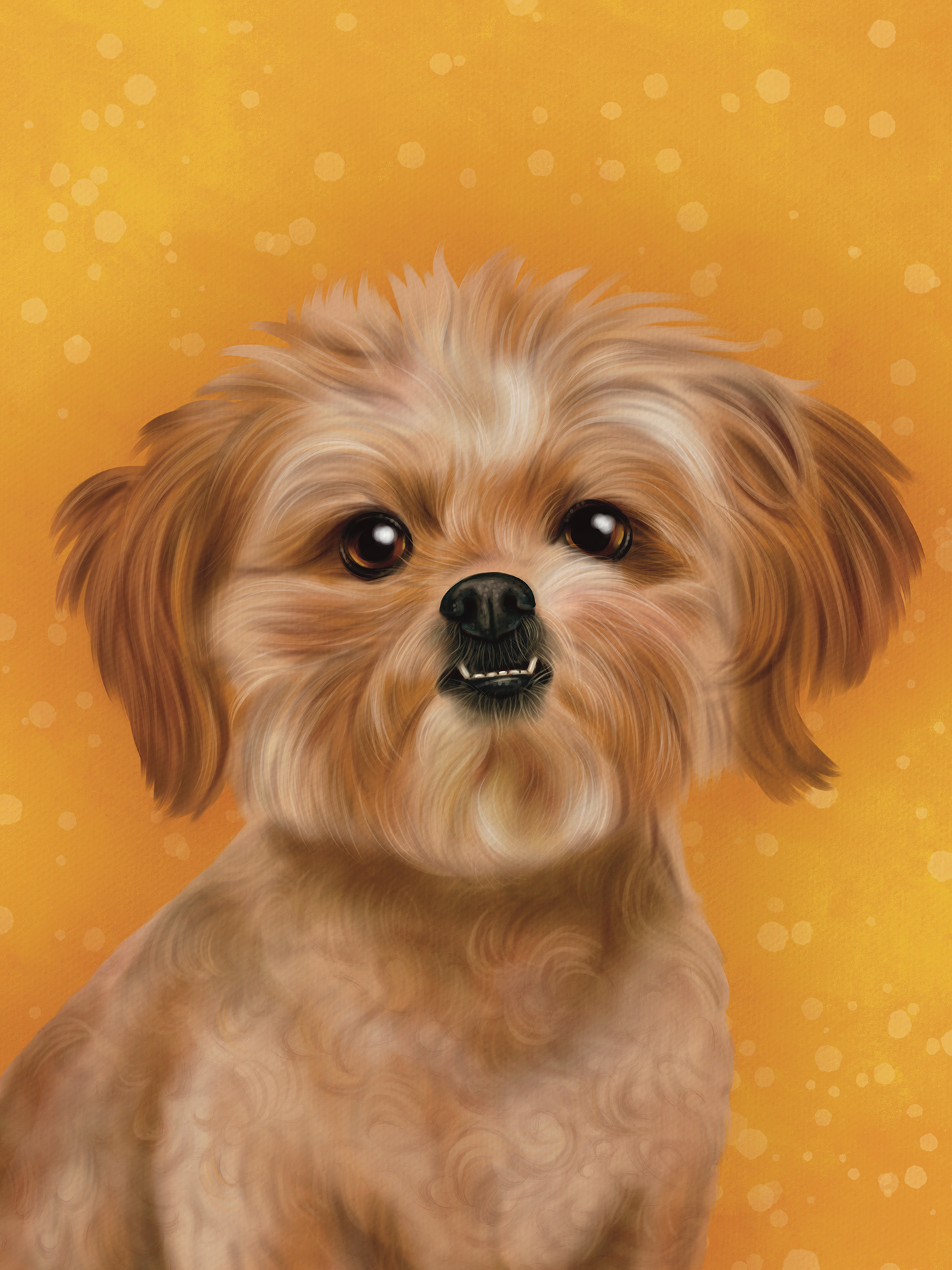 dog Pet Pet Portrait puppy Drawing  Digital Art  ILLUSTRATION  Procreate sketch digital illustration