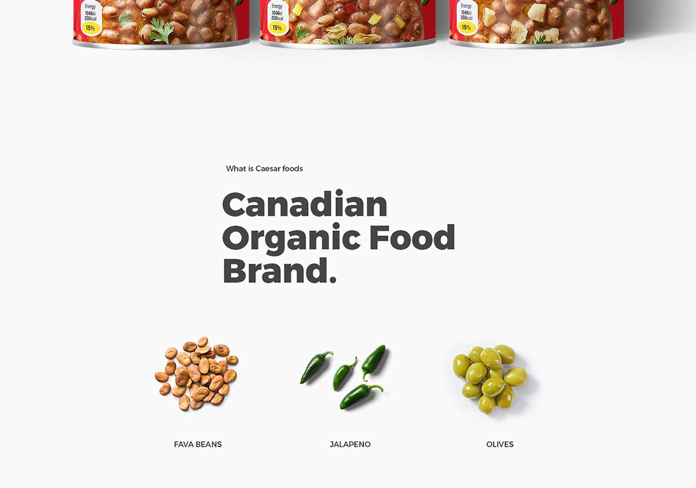 beans branding  can fava logo organic Packaging tin vegan vegeterian