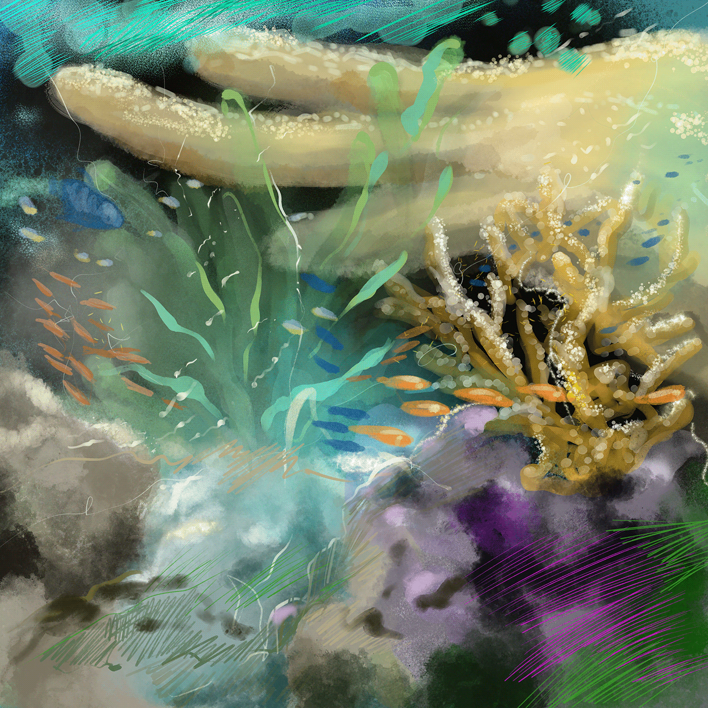 Bahamas karinbinz nft nftart reef underwater Unterwasser