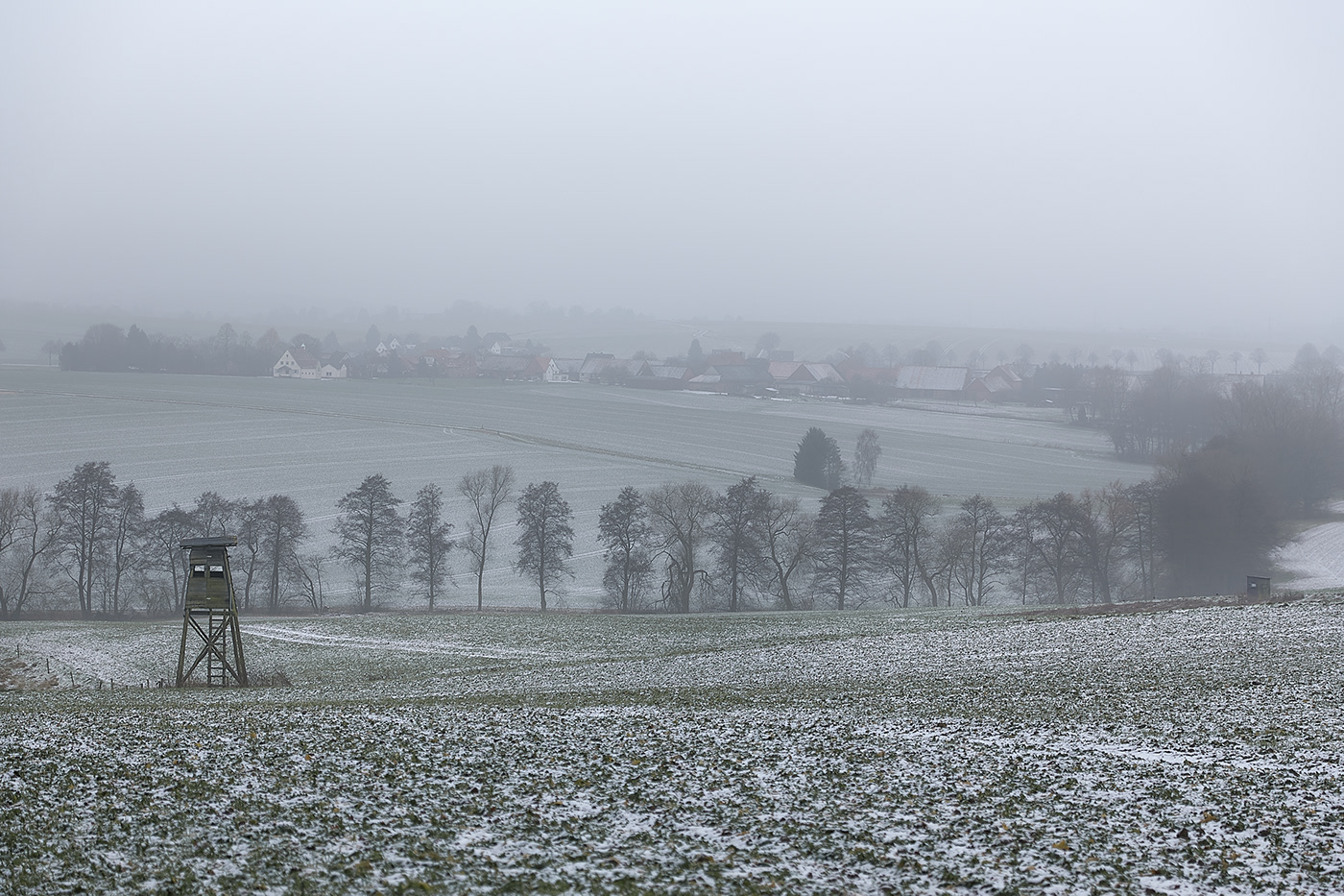 jörg marx Landscape Photography  dog snow winter