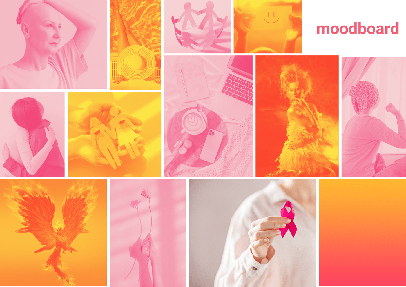 Oncologia cancer de mama mulheres logo Logotipo design identidade visual app cancer fenix