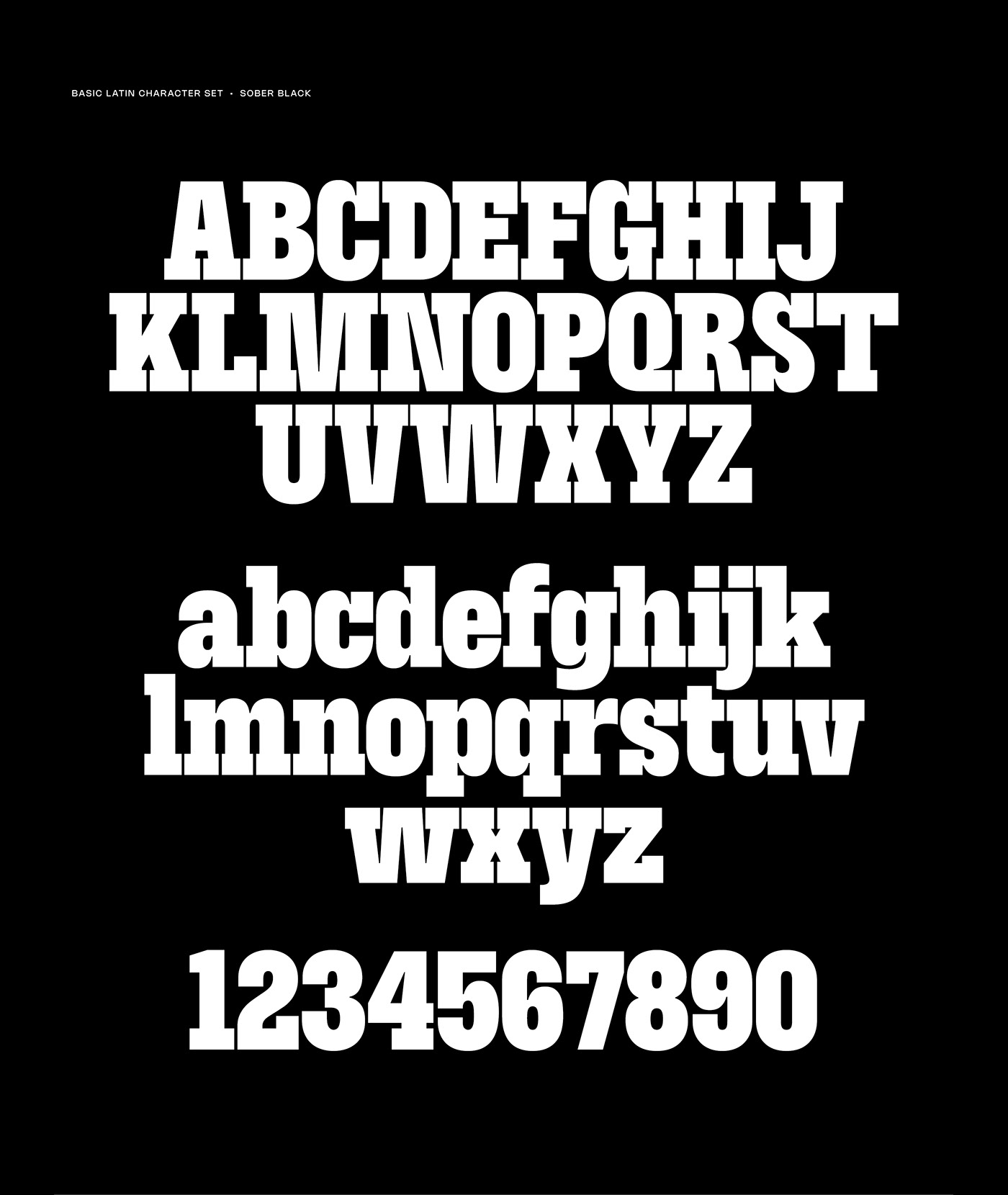 font typography   brand identity typeface design display font fonts type design slab serif visual design Advertising 