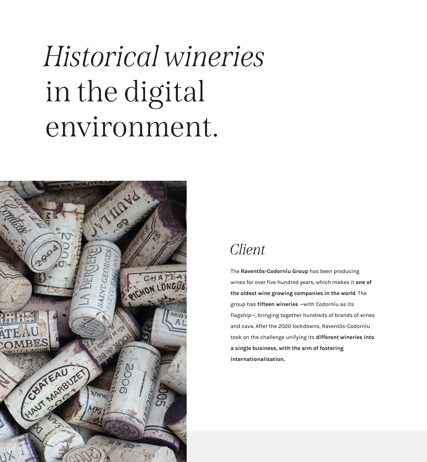 bottle UI ux Website wine Nature