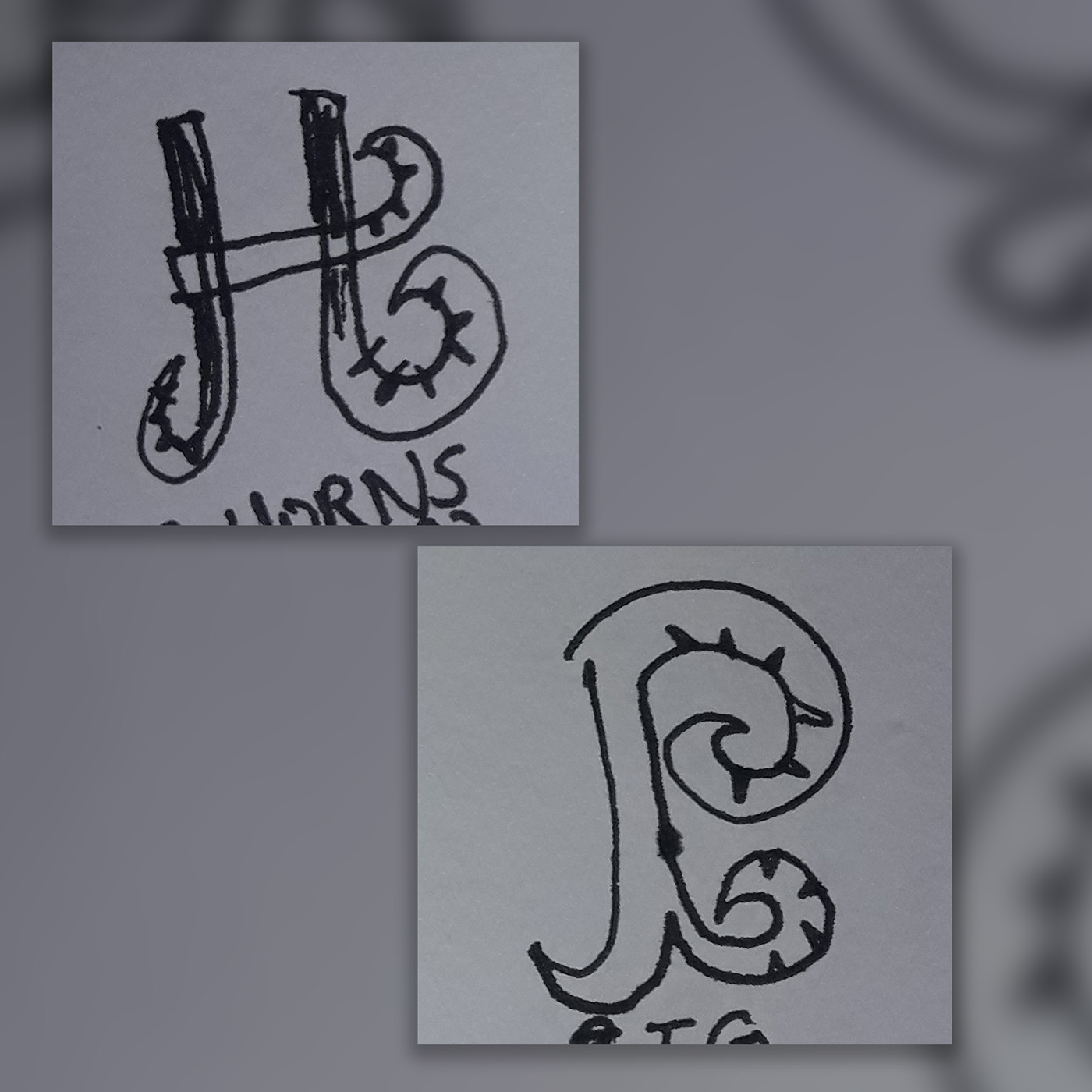 Brand Design brand identity branding  logo Logo Design Logotype typography   vector visual identity