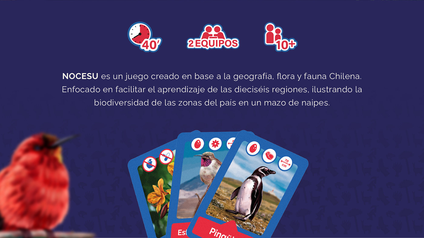 juego de mesa diseño gráfico chile Flora ilustracion fauna marca Juegos game diseñador grafico