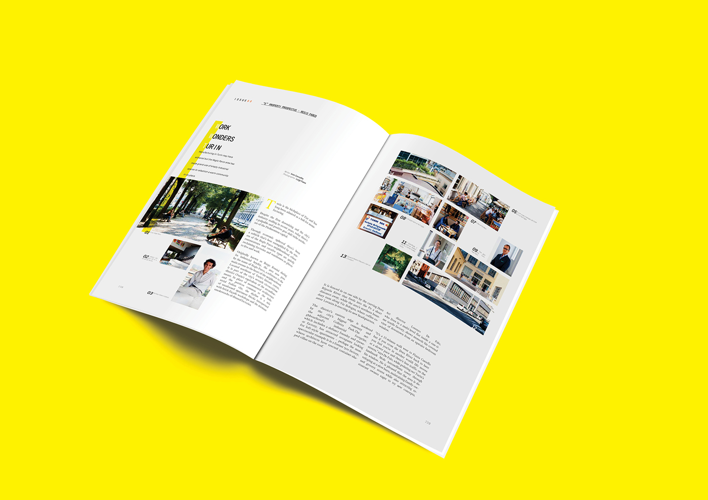 #rivista #problema #progettazione editoriale #griglia #impaginazione #disposizione #marca design #graphic